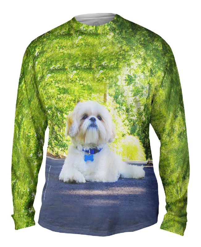 Classic V-Neck Long Sleeve-Poodle On Highway