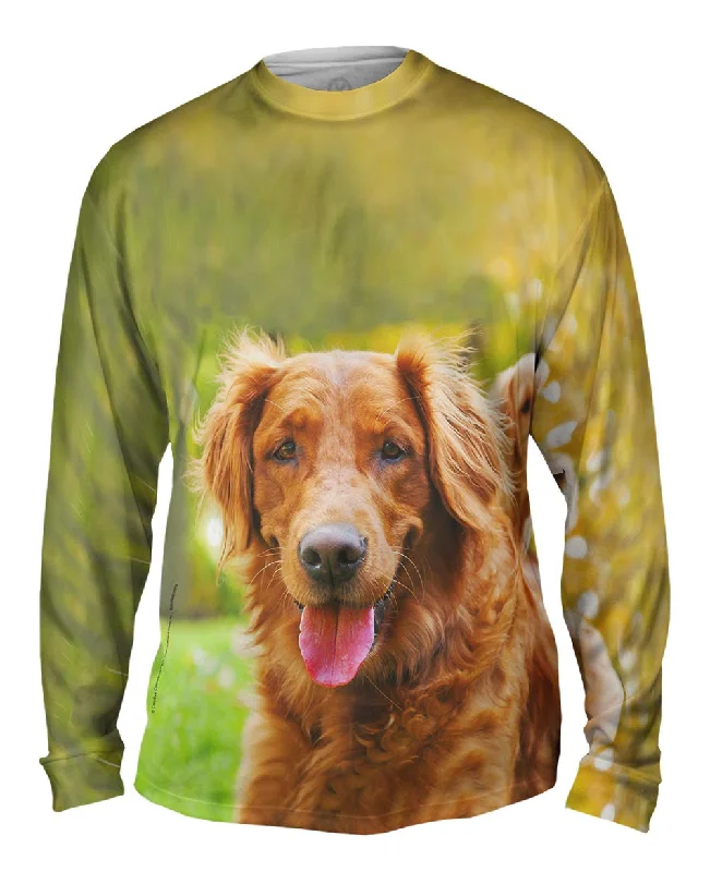 Soft Cotton Long Sleeve-Shaggy Eared Golden Lab