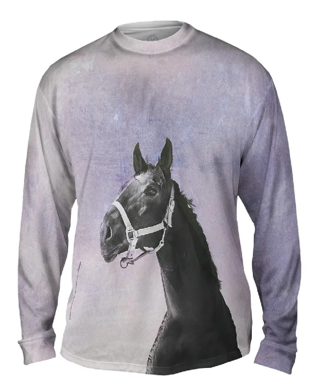 Heavyweight Long Sleeve-Purple Sky Horse