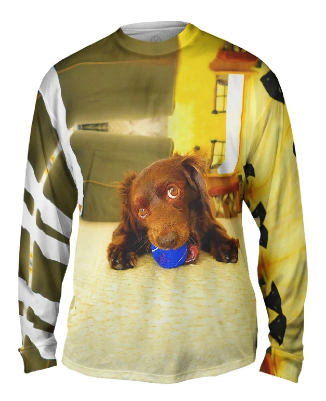 Crew Neck Long Sleeve Shirt-Playful Dachshund