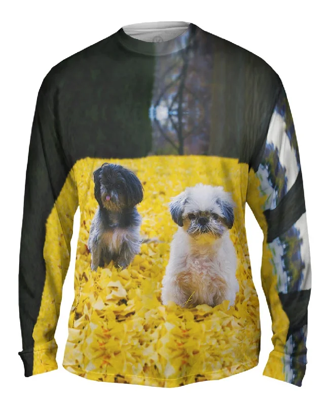 Active Long Sleeve-Shih Tzus In Fall