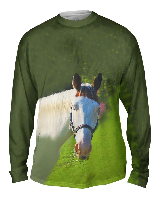 Running Long Sleeve-Paso Fino With Spunk