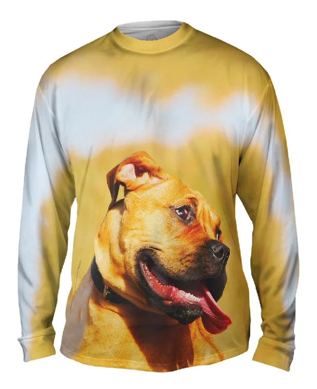 Long Sleeve Sweatshirt-Shy Boxer