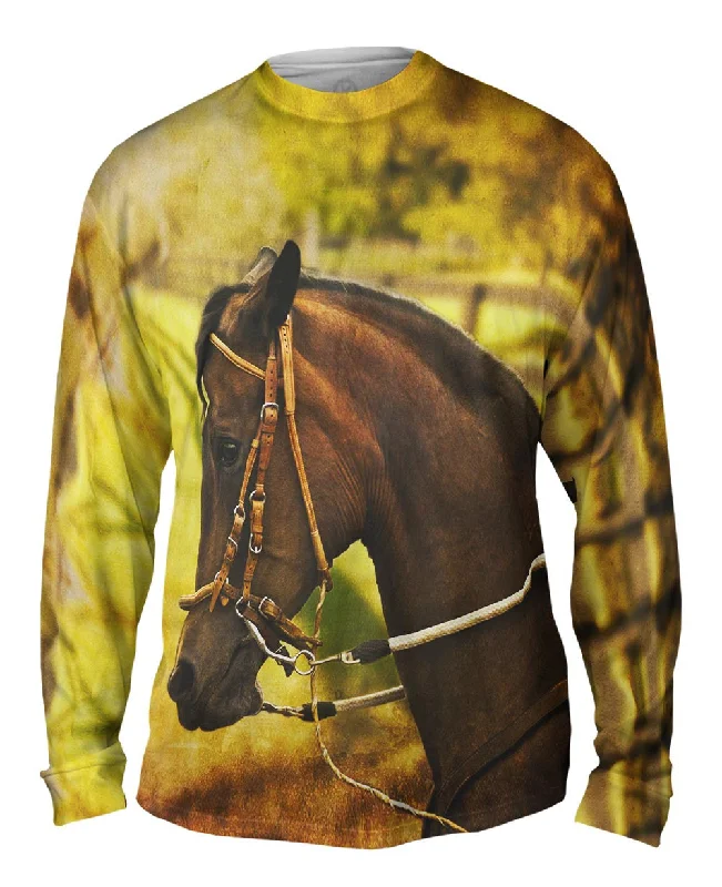 Sport Long Sleeve-Paso Fino Lord