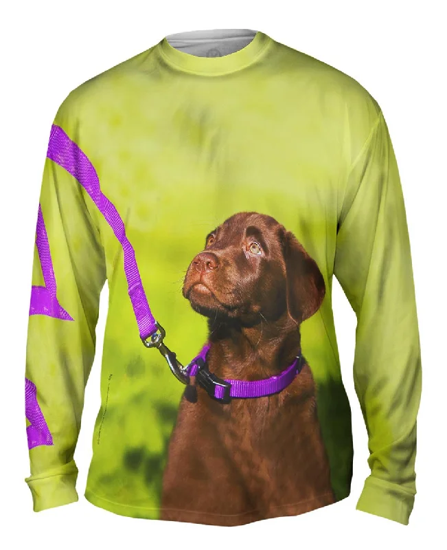 Cozy Long Sleeve-Obedient Chocolate Lab