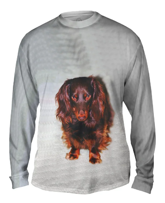 Full Sleeve Shirt-Shy Brown Dachshund