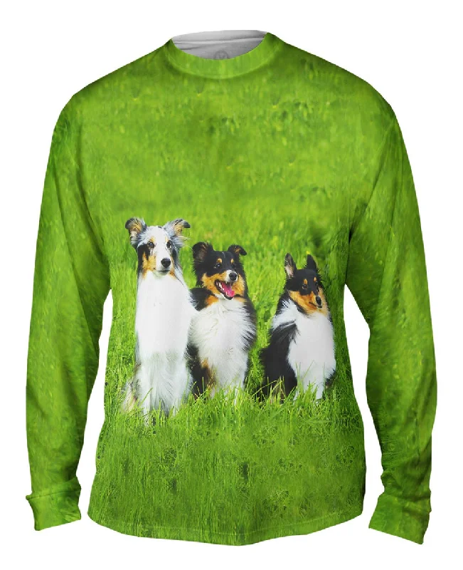 Cozy Cotton Long Sleeve-Three Shelties At Attention