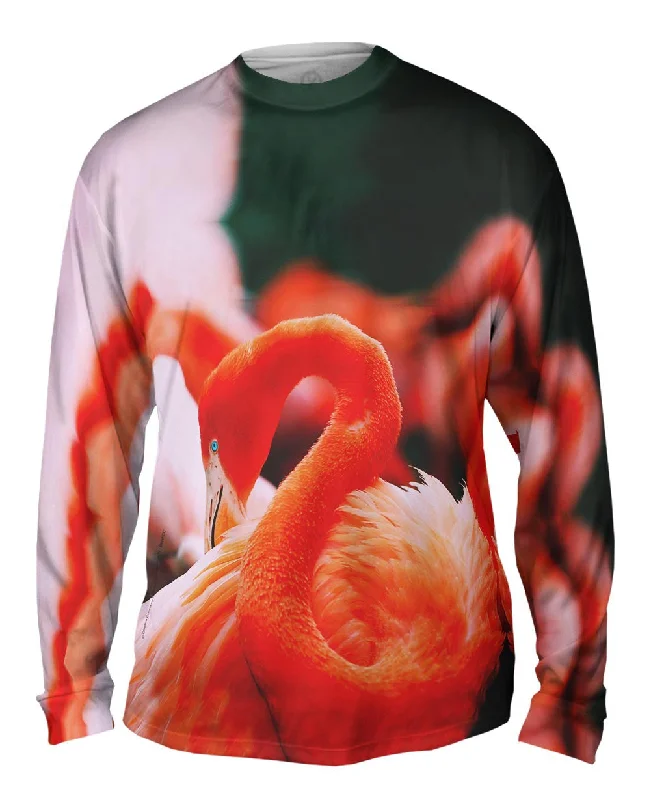 Relaxed Fitted Long Sleeve-Ruffled Feathers Flamingo